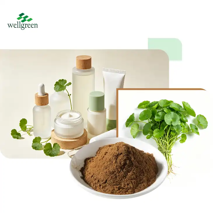 Centella Asiatica Extract Powder